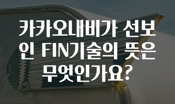 인스타 정보 카카오내비가선보인FIN기술의뜻은무엇인가요? 추천드릴게요