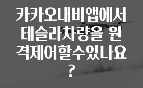 빠르게 확인 하세요! 카카오내비앱에서테슬라차량을원격제어할수있나요? 놓치지마세요