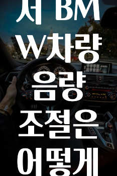 모두가 궁금해 했던 카카오내비에서BMW차량음량조절은어떻게하나요? 알려드립니다