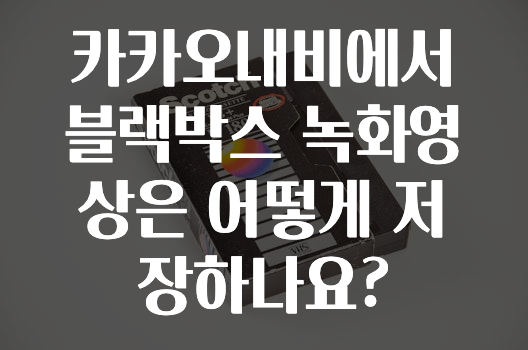 혹시 찾고계셨나요? 카카오내비에서블랙박스녹화영상은어떻게저장하나요? 알려드립니다