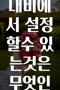 간편확인 카카오내비에서설정할수있는것은무엇인가요? 지금 바로 공개합니다