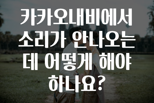 업뎃 정보 카카오내비에서소리가안나오는데어떻게해야하나요? 추천드릴게요