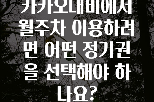 추가정보 카카오내비에서월주차이용하려면어떤정기권을선택해야하나요? 궁금하신가요?