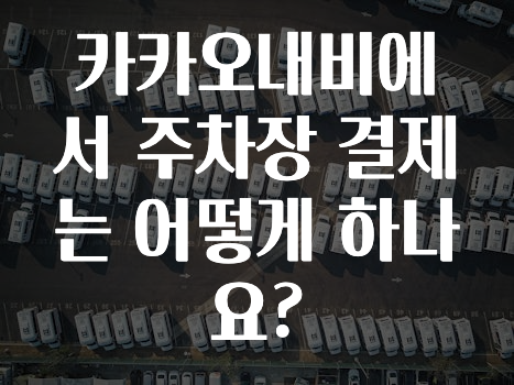 요즘 이게 유행 카카오내비에서주차장결제는어떻게하나요? 놓치지마세요