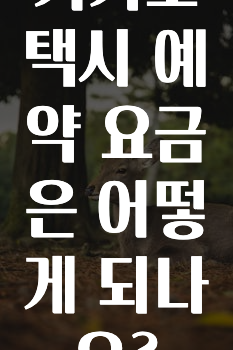 간편확인 카카오택시예약요금은어떻게되나요? 놓치지마세요