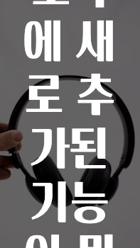 간편확인 카카오톡에새로추가된기능이뭔가요? 확인하시죠