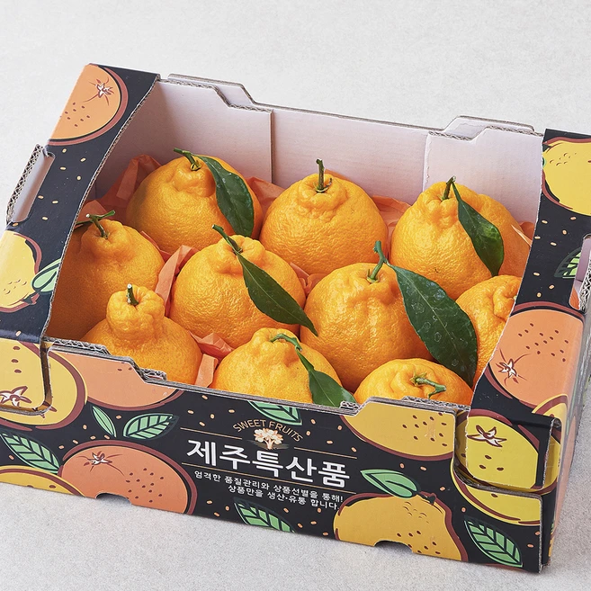 올해 이것모르면 손해 꼭 갖고싶은 ​한라봉 제가 소개해 드립니다