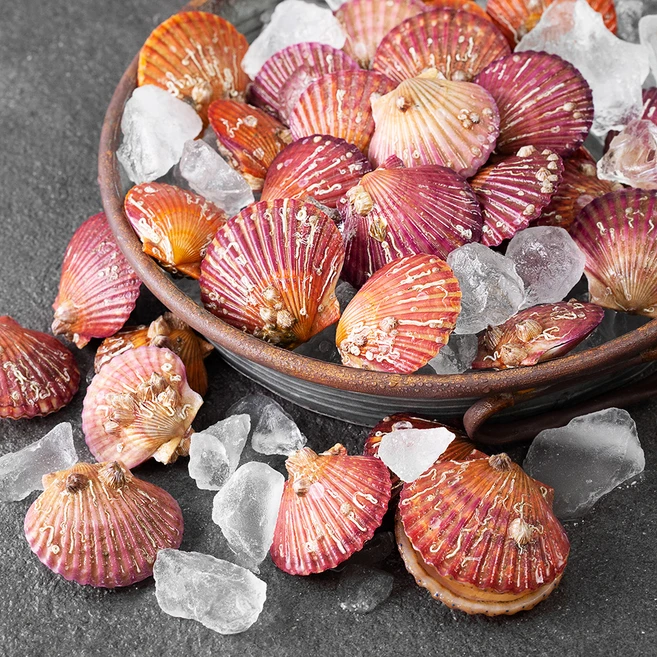 무조건 이득인 꼭 갖고싶은 ​홍가리비 제가 소개해 드립니다