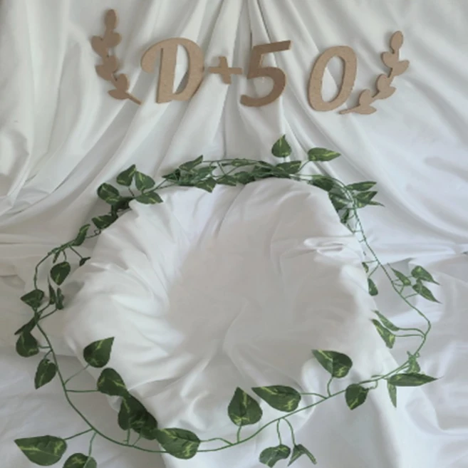 이번주 제일 많이찾은 50일셀프촬영 요약정리