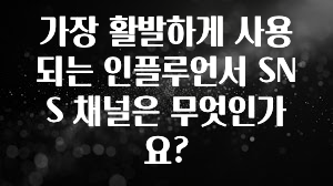 바로 확인가능한 가장 활발하게 사용되는 인플루언서 SNS 채널은 무엇인가요? 업데이트된 소식입니다