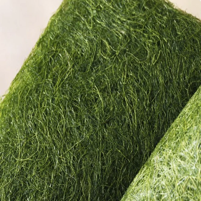 올해 이렇게 바뀌었다고? 꼭 갖고싶은 감태 제가 소개해 드립니다 관심이 뜨거운 이유 입니다