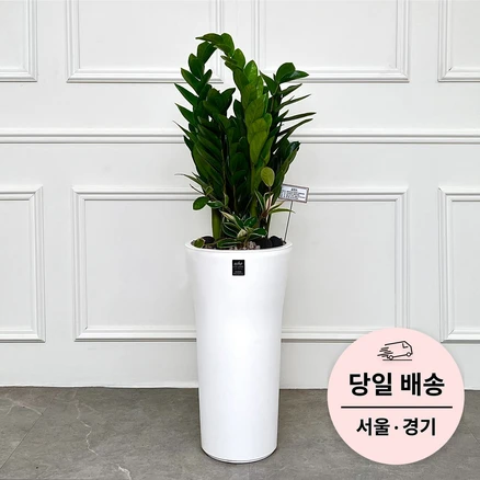 후회하지 않는 개업축하화분 알려드립니다