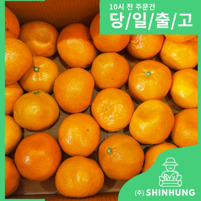 혹시 찾고계셨나요? 꼭 갖고싶은 귤10kg 제가 소개해 드립니다 잠깐 확인해보세요