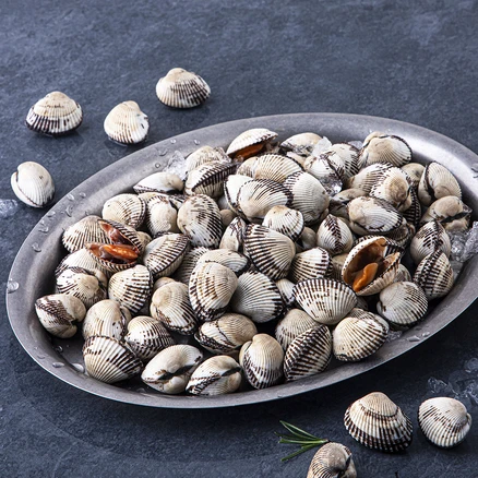 요즘 찰떡인 꼭 갖고싶은 꼬막 제가 소개해 드립니다 30초면 확인 가능합니다