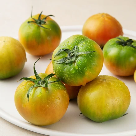 추가소식 대저짭짤이토마토 꼭 알아두세요