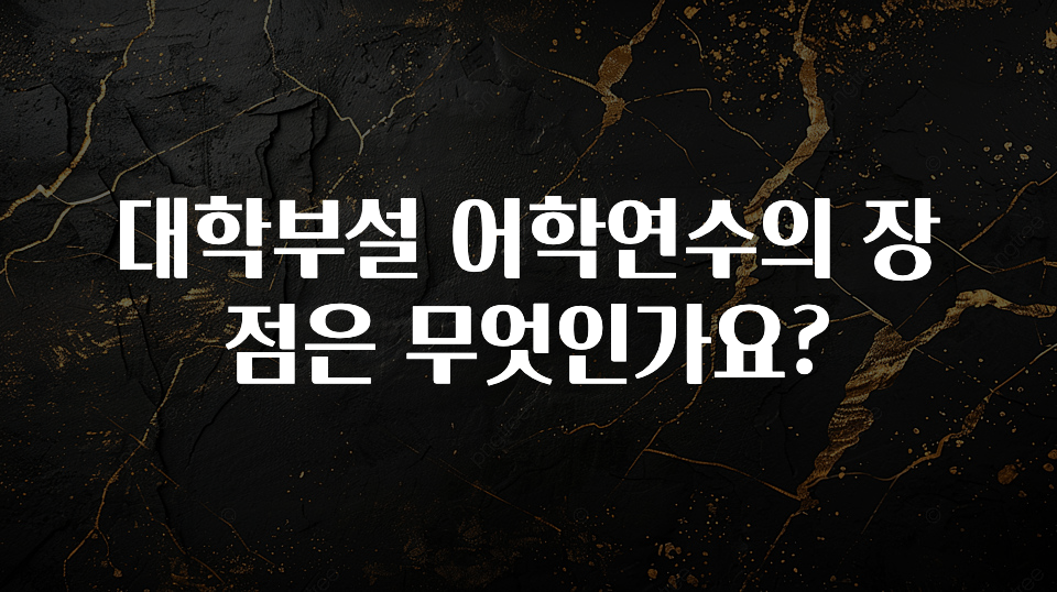 별다섯개 대학부설 어학연수의 장점은 무엇인가요? 지금떳다