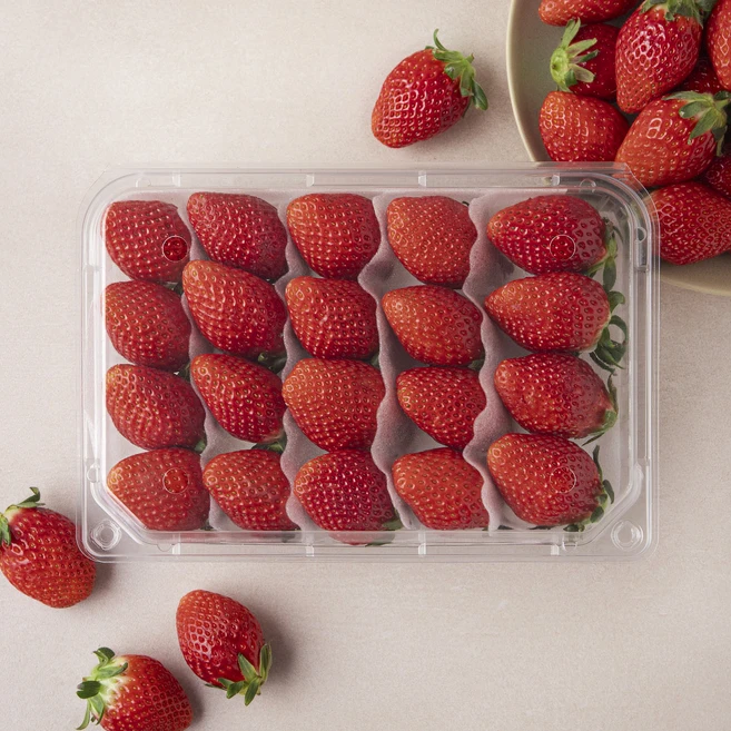 유튜브에서 난리난 정보 꼭 갖고싶은 딸기 제가 소개해 드립니다 좋은 정보