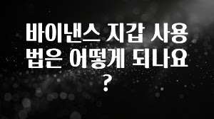 혜자소식 떳다 바이낸스 지갑 사용법은 어떻게 되나요? 주목하고 계십니다