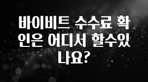 시간이 없다? 바이비트 수수료 확인은 어디서 할수있나요? 무조건 확인