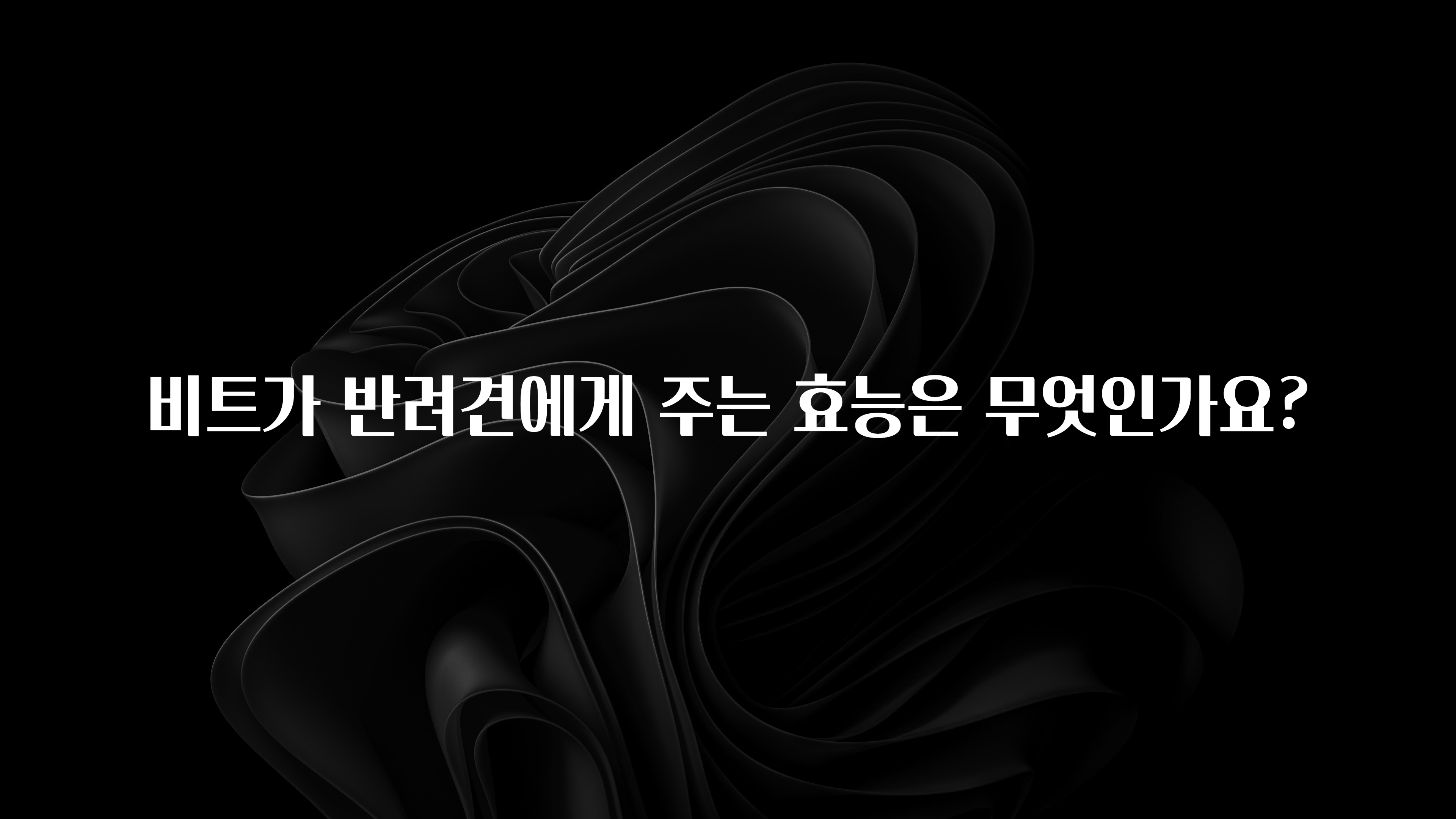 간단소식 비트가 반려견에게 주는 효능은 무엇인가요? 군말없이 소개합니다