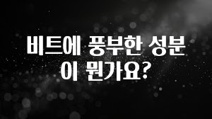 올해 꼭 알아두기 비트에 풍부한 성분이 뭔가요? 관심이 뜨겁습니다