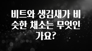 시간이 없다? 비트와 생김새가 비슷한 채소는 무엇인가요? 지금떳다