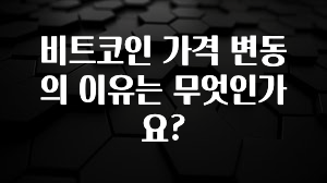 우리도 이렇게하자 비트코인 가격 변동의 이유는 무엇인가요? 전해드립니다
