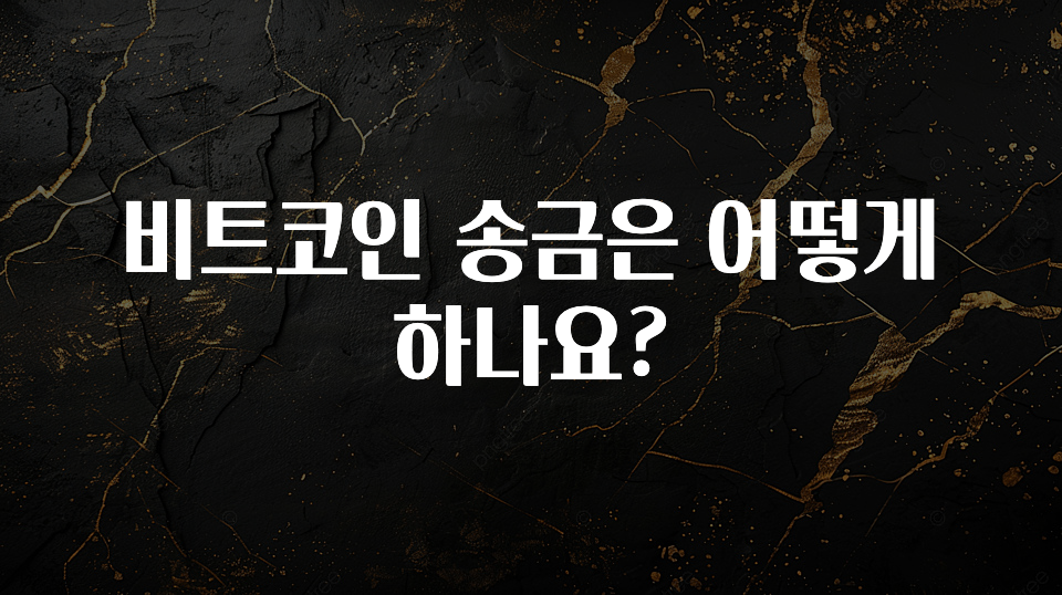 최저가로 모시는 비트코인 송금은 어떻게 하나요? 실시간 리뷰입니다