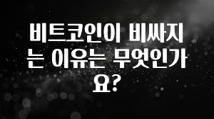 인스타 정보 비트코인이 비싸지는 이유는 무엇인가요? 기억하세요