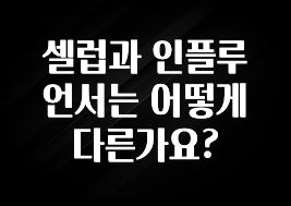 올해 베스트 셀럽과 인플루언서는 어떻게 다른가요? 주목하고 계십니다