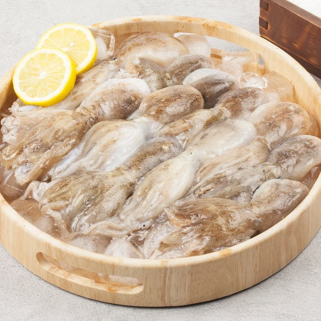 당장 친구에게 알려야 할 알쭈꾸미 알짜배기만 골라가세요