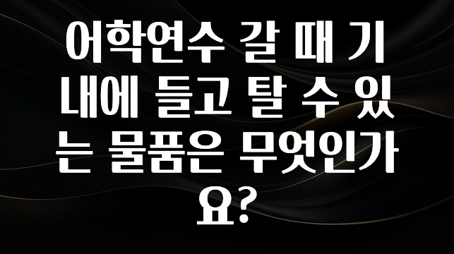 정성가득 선물 어학연수 갈 때 기내에 들고 탈 수 있는 물품은 무엇인가요? 확인해보세요