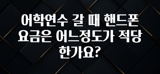 기다렸던 정보 어학연수 갈 때 핸드폰 요금은 어느정도가 적당한가요? 확인해보세요
