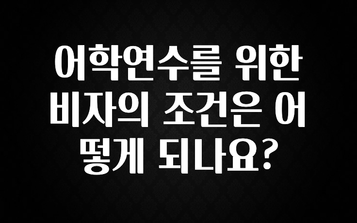 인스타 정보 어학연수를 위한 비자의 조건은 어떻게 되나요? 알려드릴게요