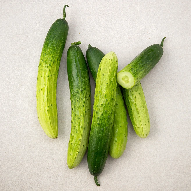 믿고 BUY 꼭 갖고싶은 오이 제가 소개해 드립니다 잠깐 확인해보세요