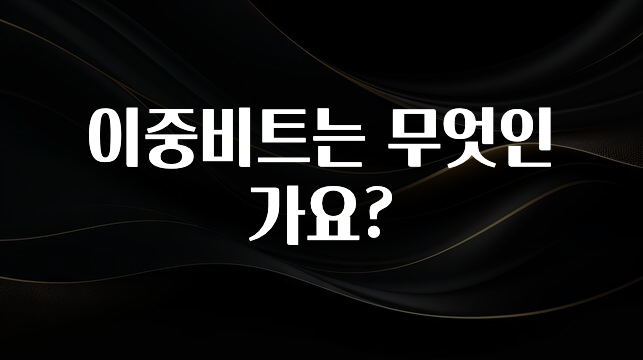 이거 아직도 몰라? 이중비트는 무엇인가요? 지금 바로 공개합니다