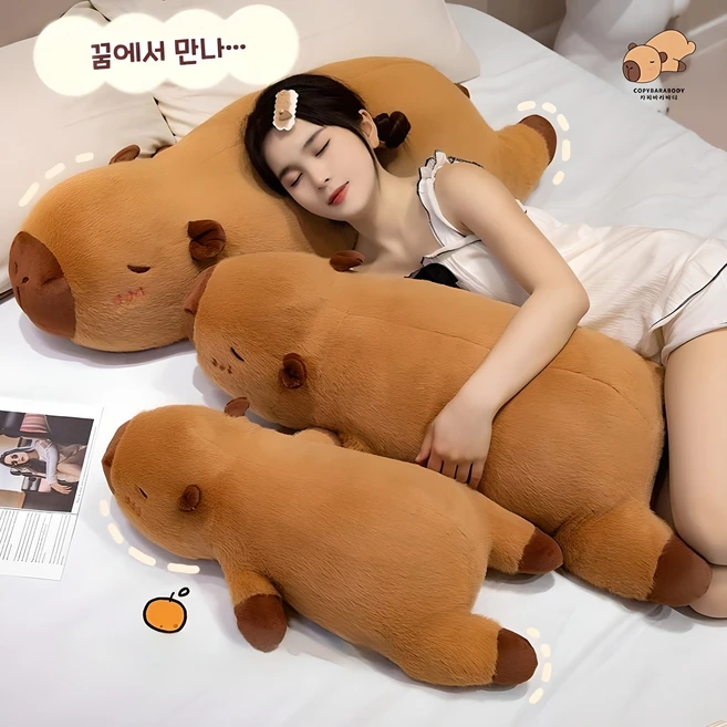 찐친이랑 확인하세요 카피바라인형 요약본만 확인해보세요