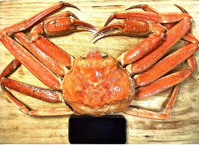 이번주 제일 많이찾은 꼭 갖고싶은 킹크랩 제가 소개해 드립니다 군말없이 소개합니다