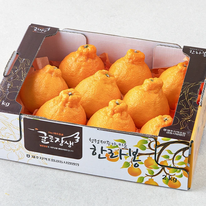 유튜브에서 난리난 정보 꼭 갖고싶은 한라봉 제가 소개해 드립니다 아쉬움이 없습니다