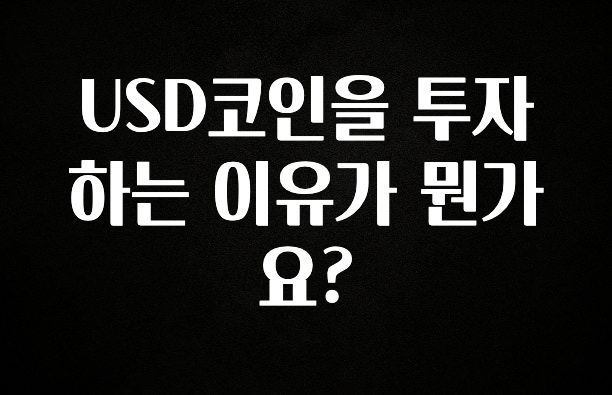 핫 소식 USD코인을 투자하는 이유가 뭔가요? 확인 부탁드립니다