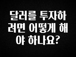 MZ세대 “주목” 달러를 투자하려면 어떻게 해야 하나요? 확인해보세요