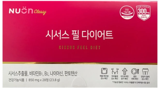 사랑을 담은 선물 시서스 주목하고 계십니다
