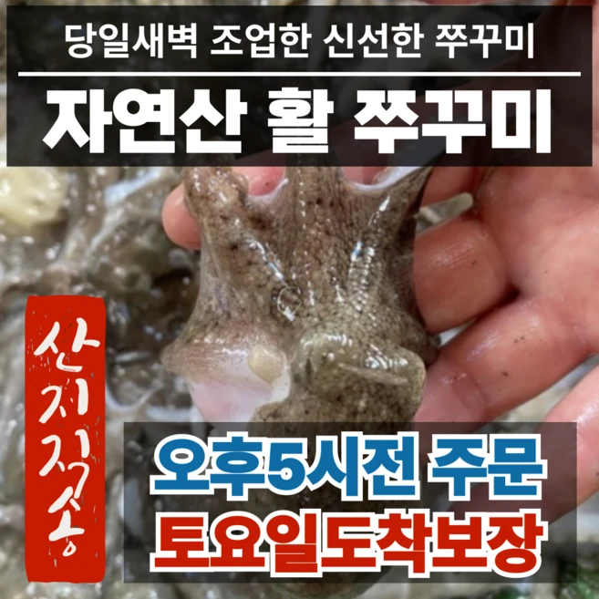 사계절 사랑받는 알쭈꾸미 아쉬움이 없습니다