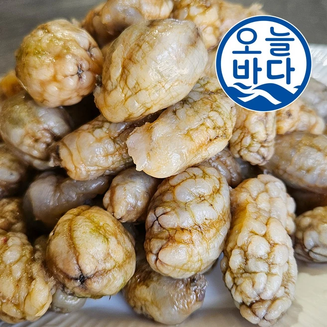 정성을 담은 오만둥이 핫한 정보입니다