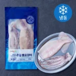 사계절 사랑받는 오징어 소개합니다