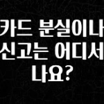 업뎃 정보 BC카드 분실이나 도난 신고는 어디서 하나요? 지금떳다