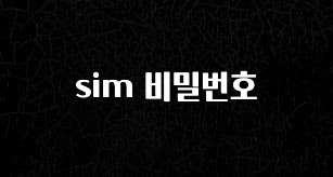 정보 쏟아짐 sim 비밀번호 지금떳다
