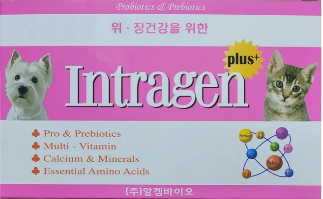 요즘 이게 유행 강아지유산균 아주 좋은 정보입니다