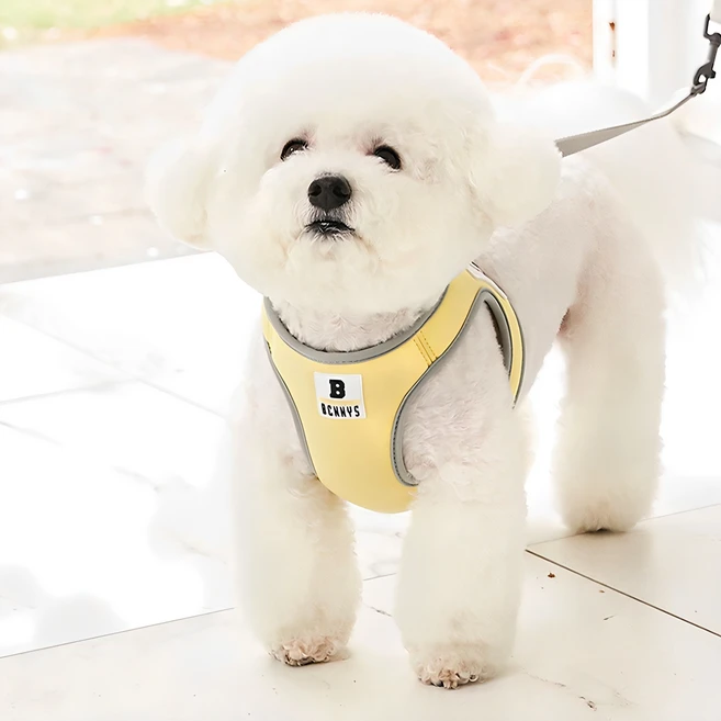 재구매율 1위 강아지하네스 꼭 알아두세요