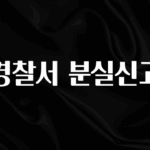 간단소식 경찰서 분실신고 실간 리뷰
